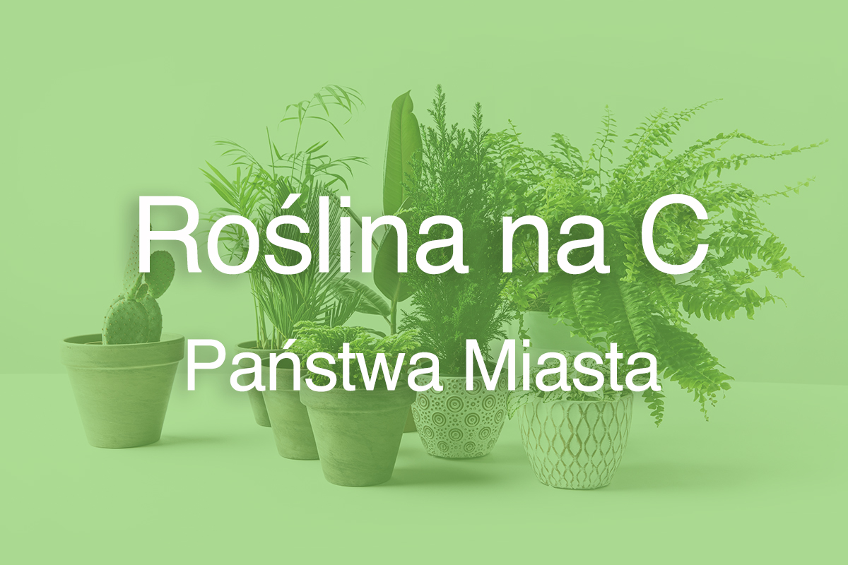 Roślina na C